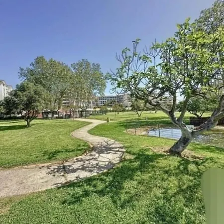 Appartement Beau T2 A 200m De La Et Proches Toutes Commodites Antibes